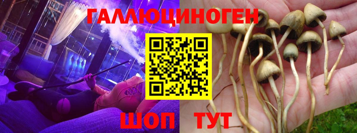Бугульма  Псилоцибиновые грибы прущие грибы  Вход с VPN 
